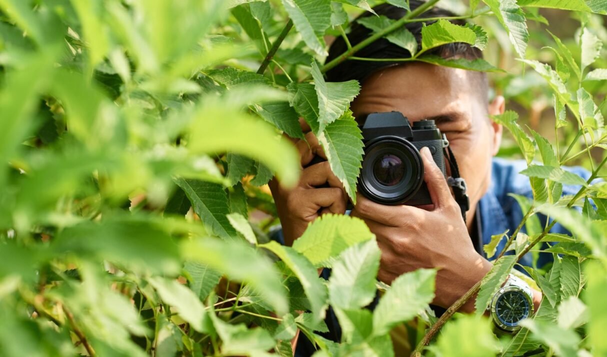 Composition Basics: 7 Essential Rules for Better Photos